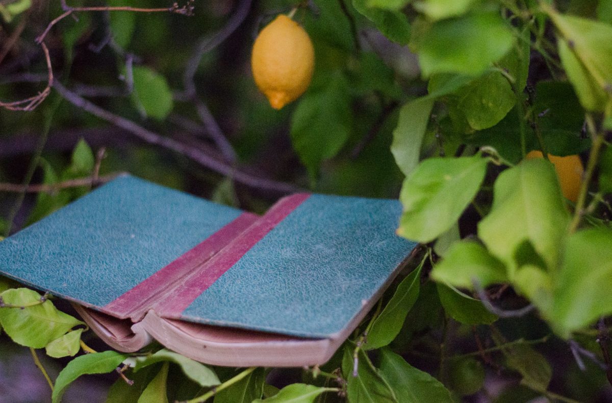 The most ephemeral moments have the ability to penetrate the membrane of short-term memory.