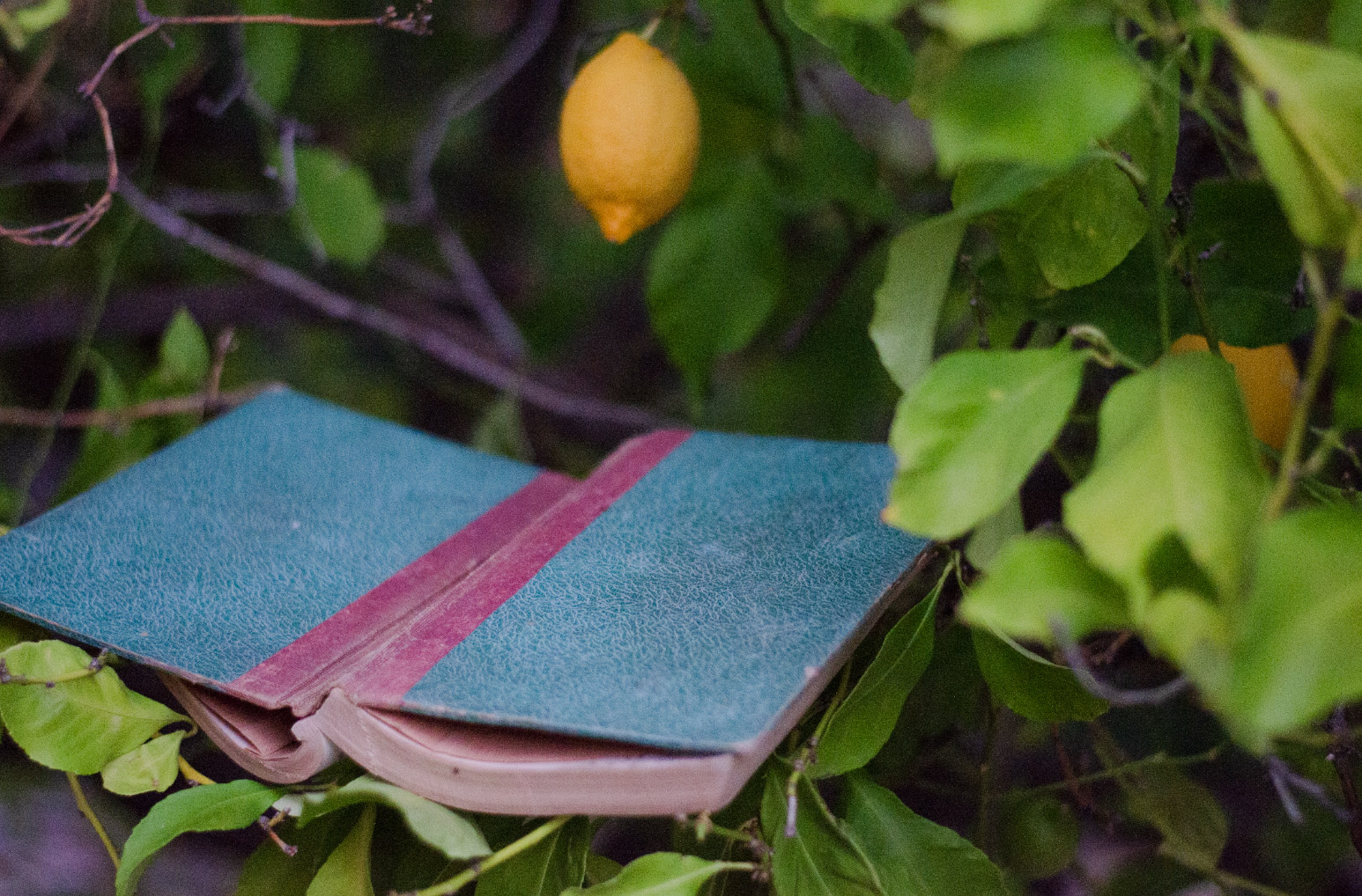 The most ephemeral moments have the ability to penetrate the membrane of short-term memory.
