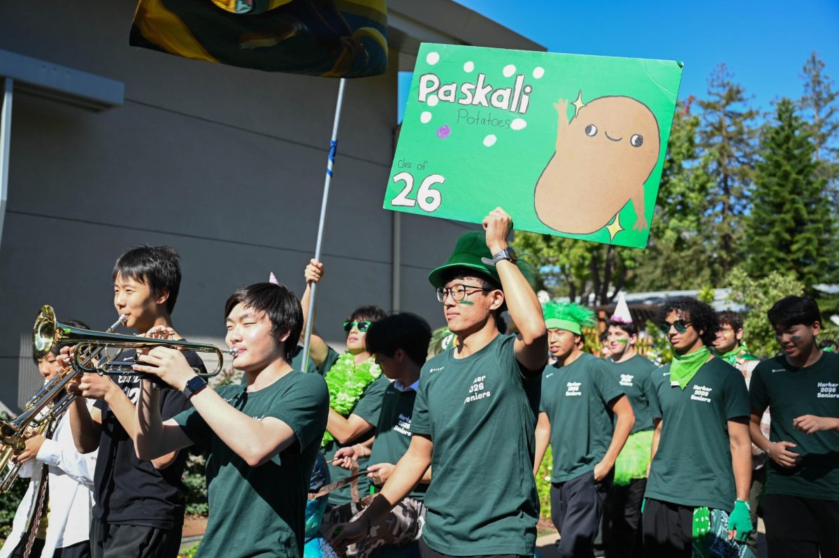 Senior Robinson Xiang holds up a hand-painted sign during the annual advisory parade. Representatives from each advisory decked out in their class color to lead the procession to the spirit rally.