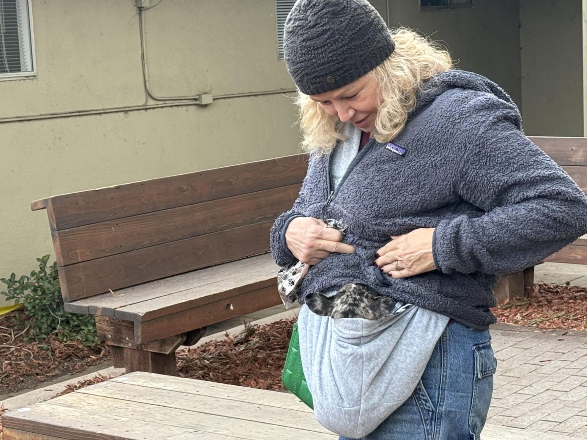 Cofounder of Tiny Paws Pug Rescue Kim Smith shows students the rescue pets. Students played with rescue pugs to destress from finals and college in Graduates’ Grove on Tuesday.