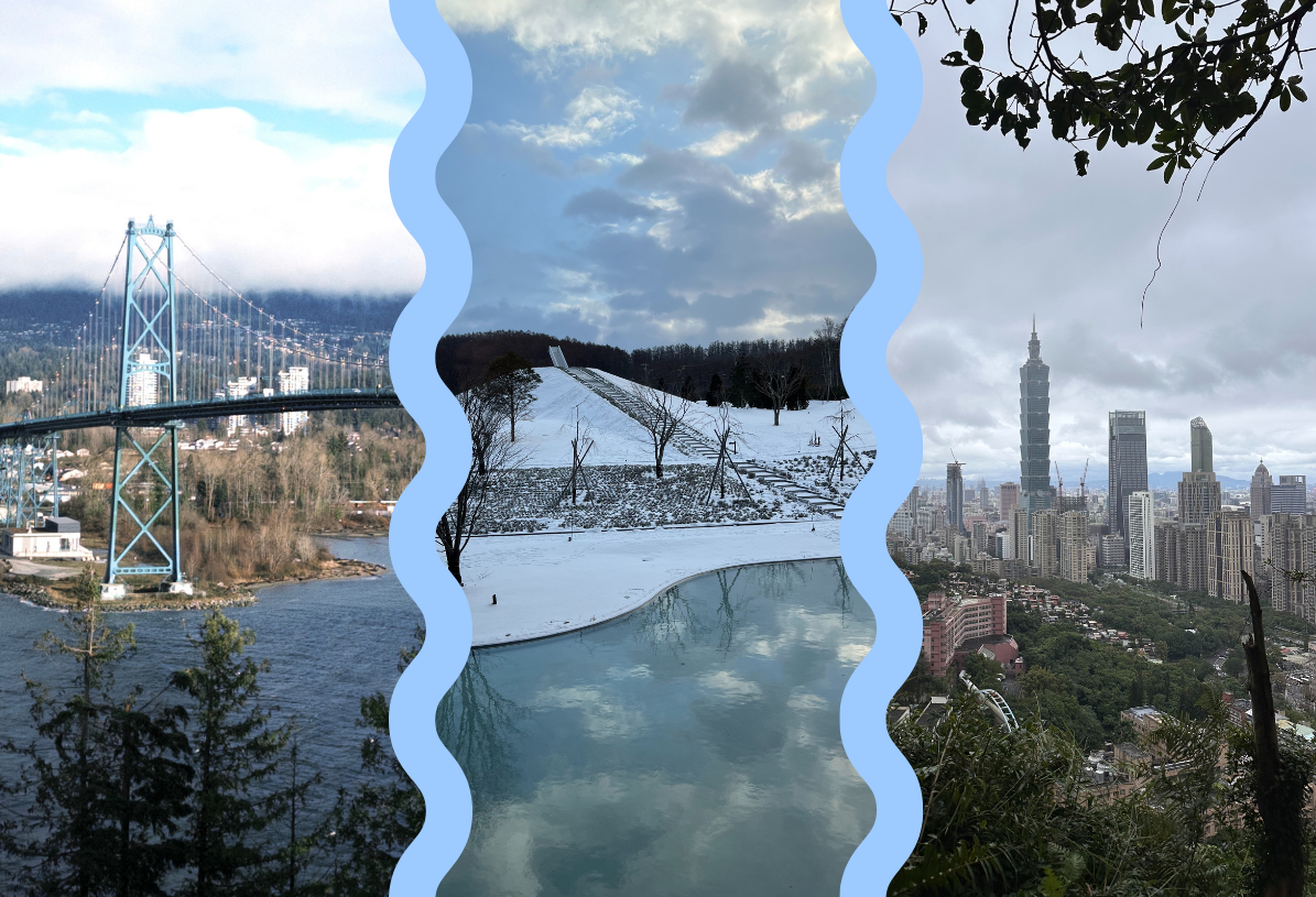 Out of the nest: Winter wonderland