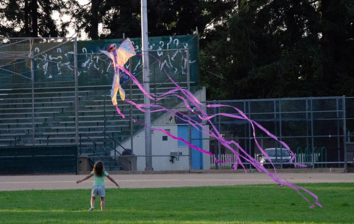 A child looks up at a kite. Families often come to the park on the weekends to relax and play.
